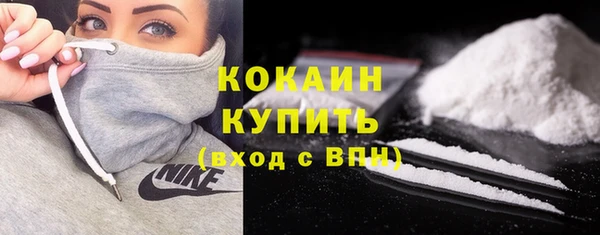 ГАЛЛЮЦИНОГЕННЫЕ ГРИБЫ Бородино