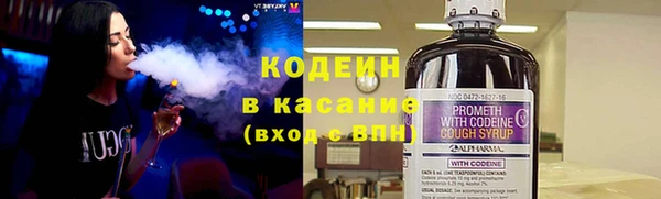 ГАЛЛЮЦИНОГЕННЫЕ ГРИБЫ Бородино