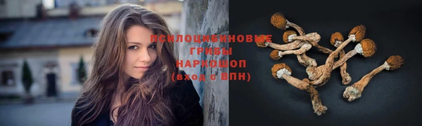 твердый Верея