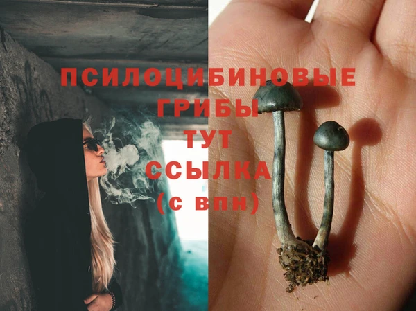 твердый Верея