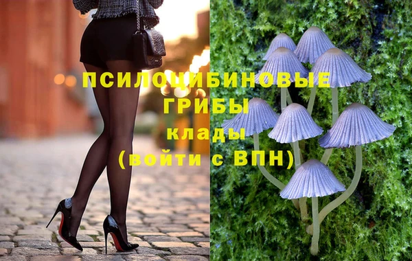 mdpv Верхний Тагил