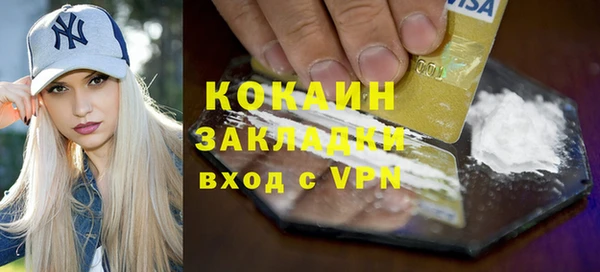 ГАЛЛЮЦИНОГЕННЫЕ ГРИБЫ Бородино