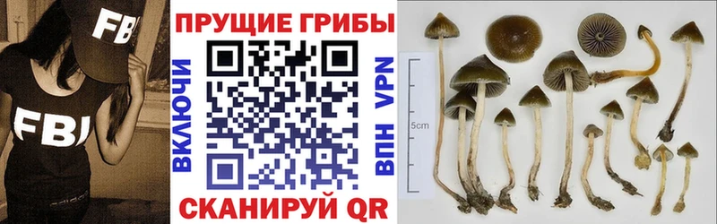 blacksprut онион  купить наркотик  Реж  Псилоцибиновые грибы GOLDEN TEACHER 
